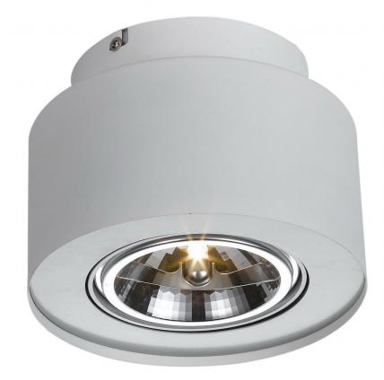 Потолочный светильник Arte Lamp Cliff A5643PL-1WH