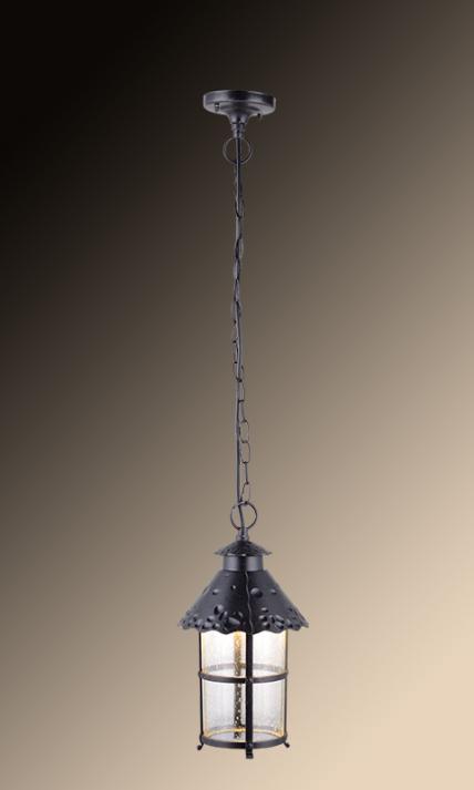 Уличный подвесной светильник Arte Lamp Prague A1465SO-1RI